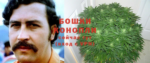 ПСИЛОЦИБИНОВЫЕ ГРИБЫ Верхнеуральск