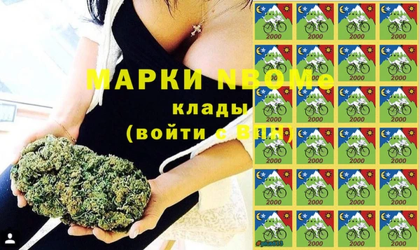 PSILOCYBIN Верея
