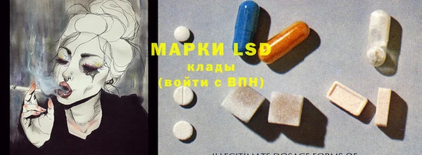 ПСИЛОЦИБИНОВЫЕ ГРИБЫ Верхнеуральск