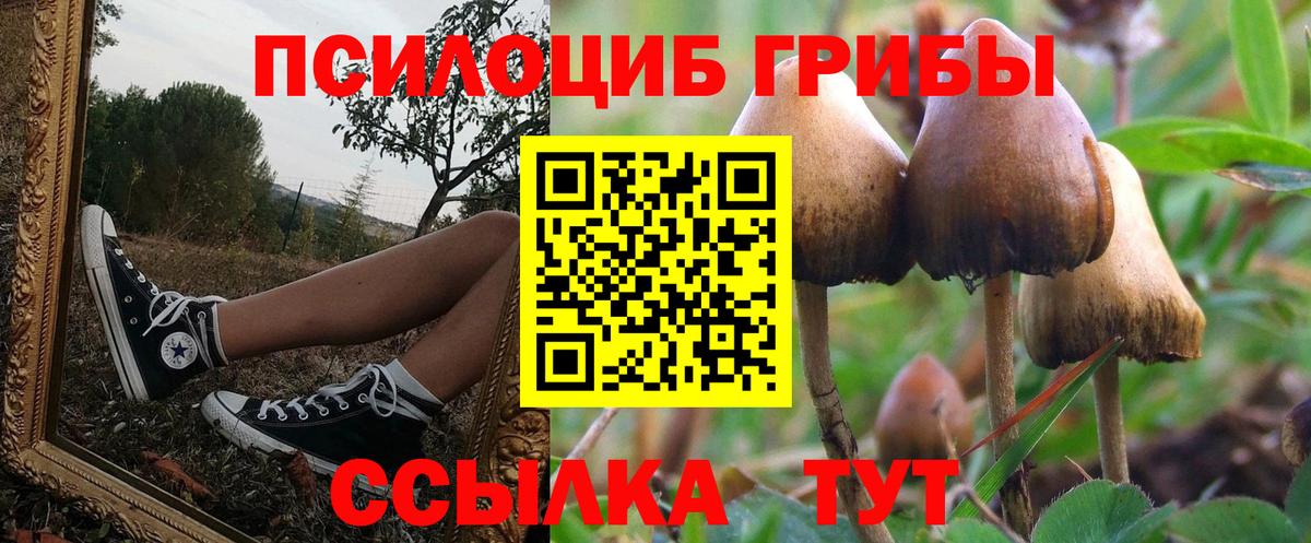Галлюциногенные грибы Cubensis Среднеуральск