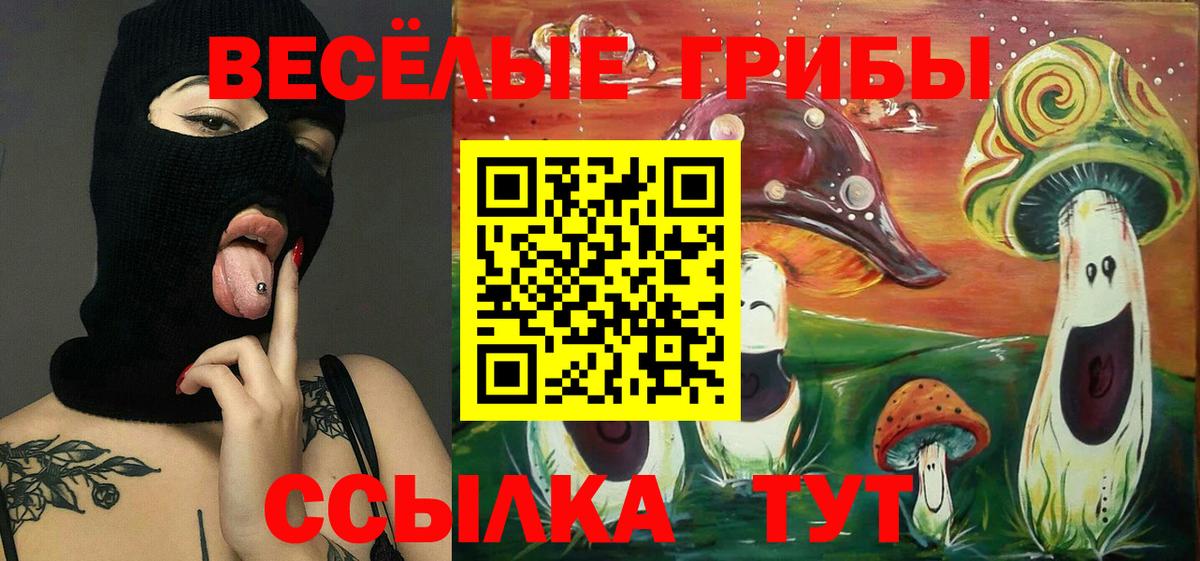 Галлюциногенные грибы Magic Shrooms  купить наркотик  Псилоцибиновые грибы мухоморы  Среднеуральск  Вход с VPN 